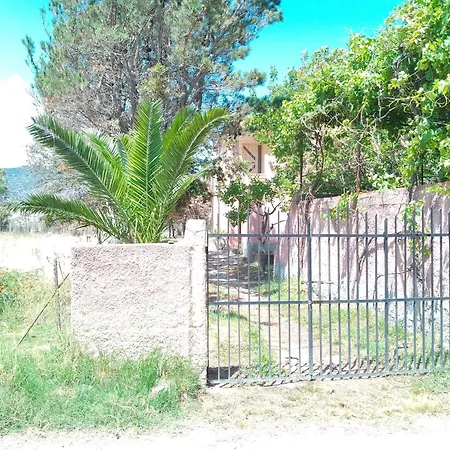 Apartamento Casa *